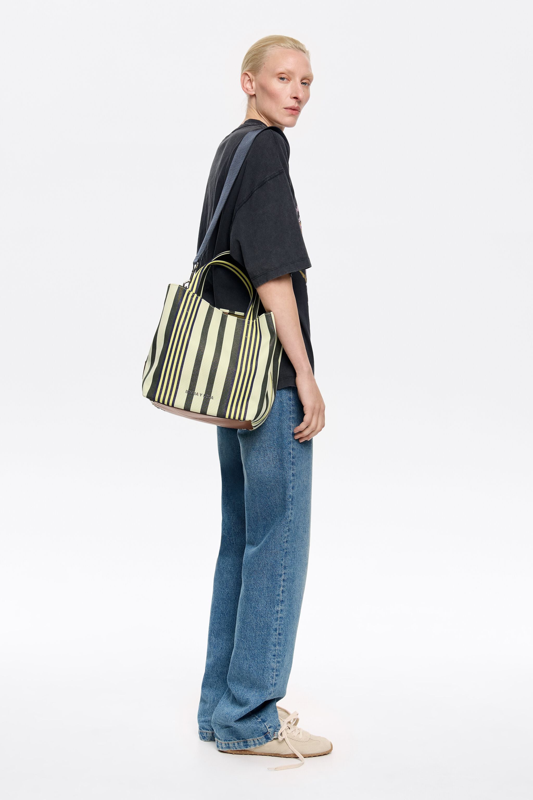 Large striped fabric Chihuahua bag