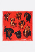 Red dogs scarf