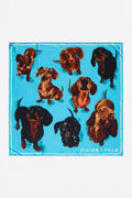 Blue dogs scarf